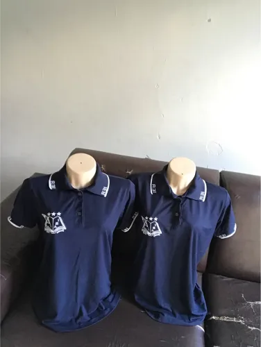 Vende-se duas blusas por preço de uma do IEA, as duas por 50, originais bordadas