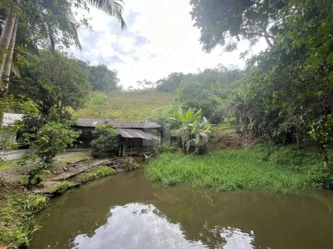 Sítio com 3 dormitórios à venda, 35000 m² por R$ 2.300.000,00 - Glória - Blumenau/SC