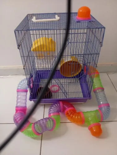 hamster gaiola
