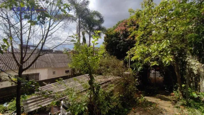 Terreno à venda, 318 m² por R$ 500.000,00 - Jardim das Palmas - São Paulo/SP