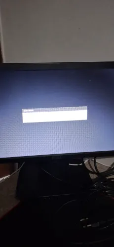 Monitor Dell 21 polegadas