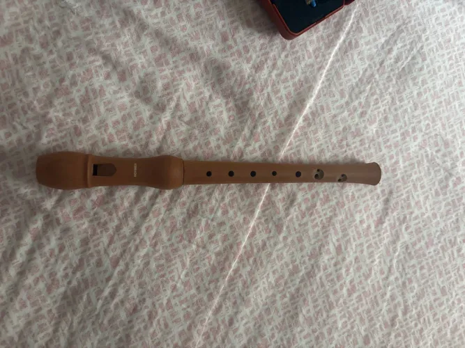 Vendo uma flauta doce hohner alemã comprada na Alemanha proficional completa