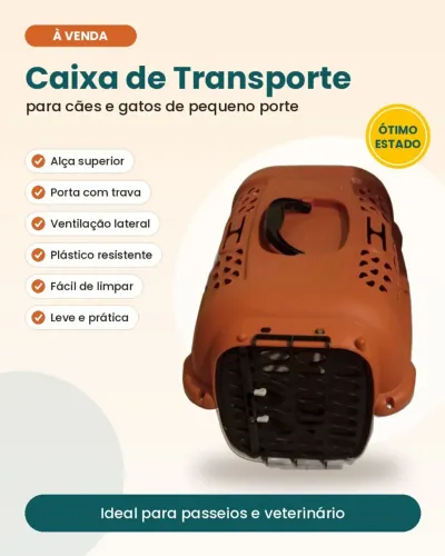 Caixa de transporte pequena
