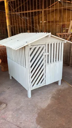 Casinhas de cachorro 