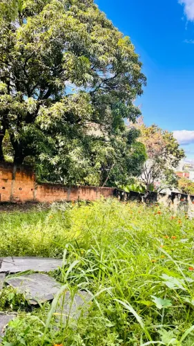 Imóvel para venda com 550 metros quadrados com 3 quartos em Planalto - Belo Horizonte - MG
