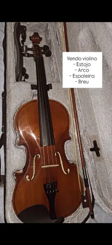 Violino