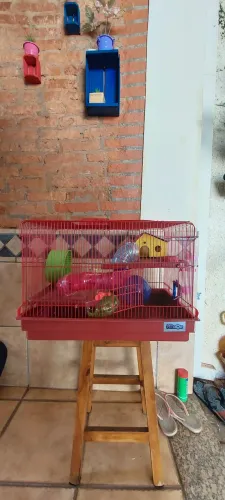 Gaiola Hamster Big Space Completa!