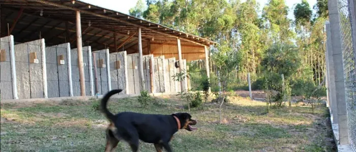 Sítio / Hotel p / Cães/ Ong Proteção animal/ Centro Adestramento / Criação