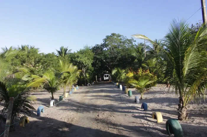 Fazenda/Sítio/Chácara para venda com 200 metros quadrados com 3 quartos