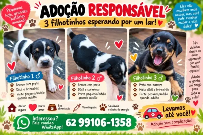 Filhotes de cachorro