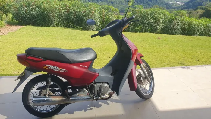 Blz 100