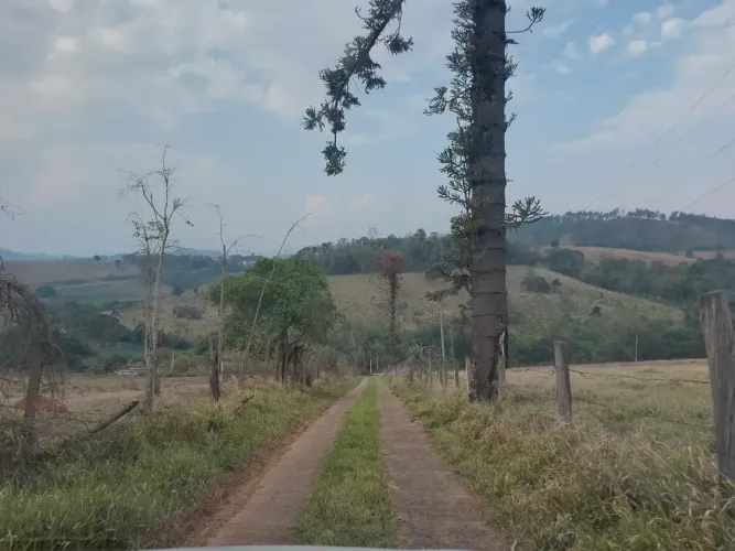 terreno 10 mil m2 em Piracaia SP ( ótima topografia)