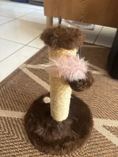 Arranhador de gato