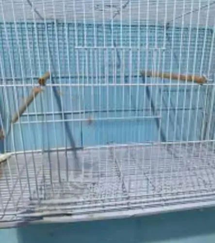 Gaiola para Pássaros e Calopsitas 