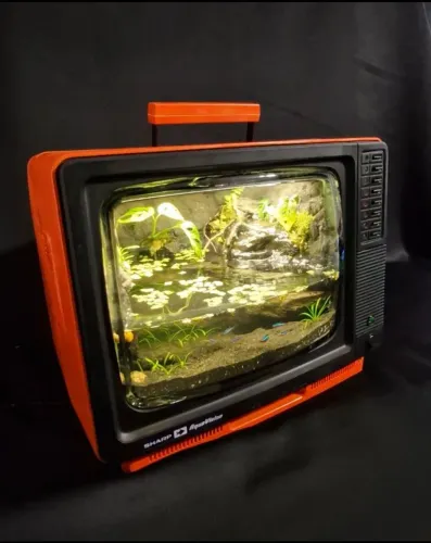 Aquário TV década de 80 - projeto de aquapaisagismo 