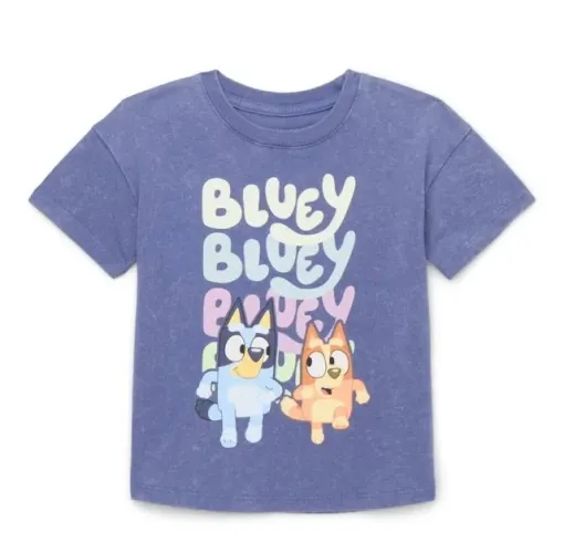 Camiseta Bluey tamanhos 2, 3 e 4 anos importadas (Novas)