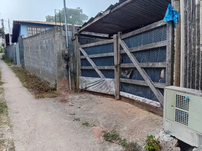 Vendo nogueira