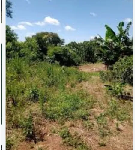 Urgente vendo terreno