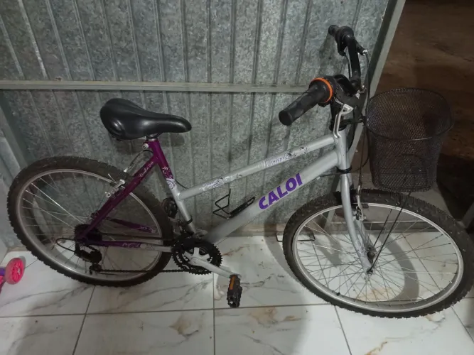 Bicicleta