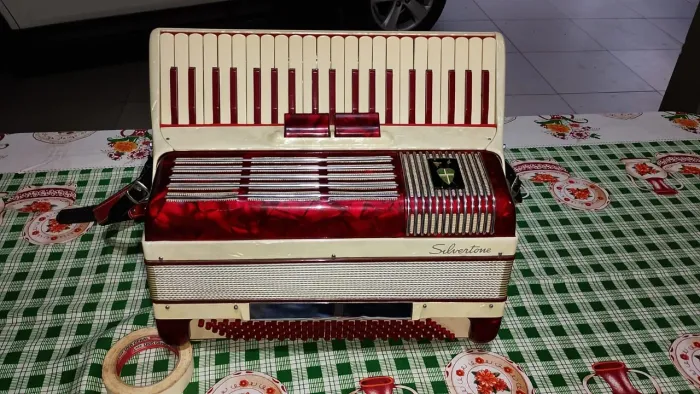 Sanfona / acordeon Silverstone 120 baixos