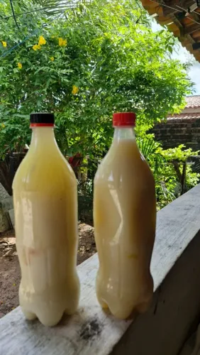 Vende se manteiga de búfalo batido