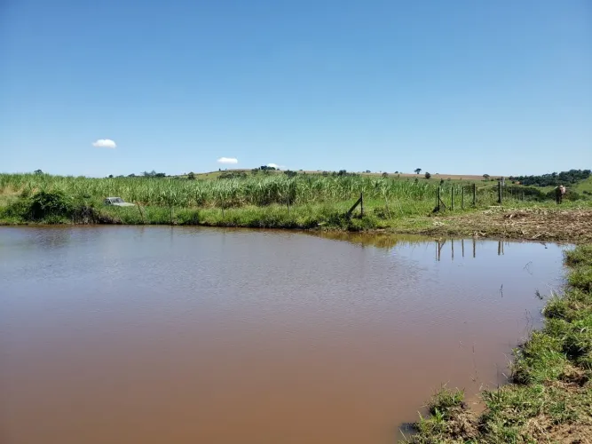 Chácara 23 Alqueires, Topografia Plana, Rica em Água, 80% Aproveitável, Terra Mista, Ótima