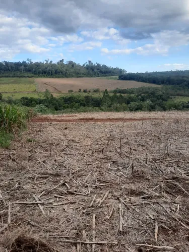OPORTUNIDADE lote guajuvira 12 hectares mais reserva leia todo anuncio