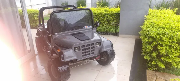 Mini buggy 