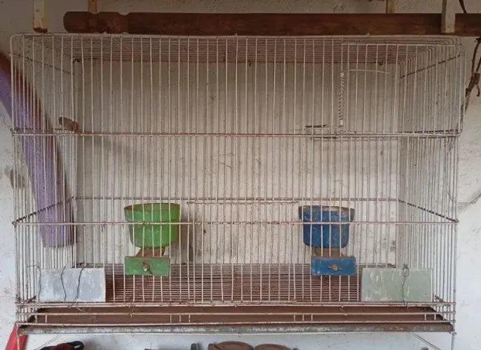 Gaiola para Calopsita