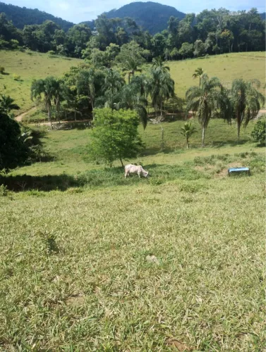 Vendo aceito veículo 
