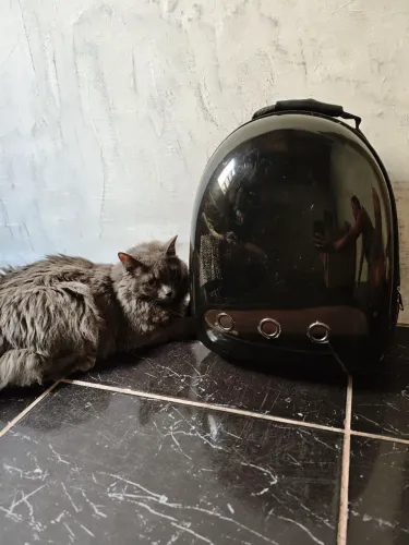 Mochila com visão panorâmica para GATO e CACHORRO