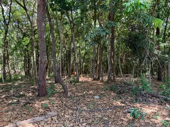 Chácara 2.250m² em condomínio, chalé, fogão a lenha, córrego nos fundos e cisterna.