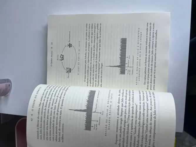 Livro O Poder do Hábito