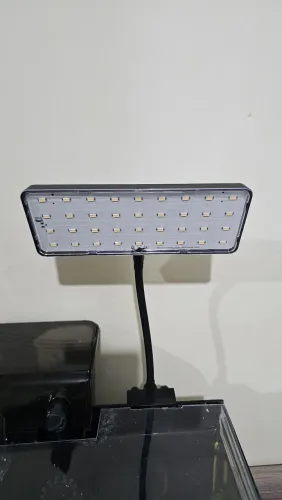Luminária Wfish RGB LED 13W
