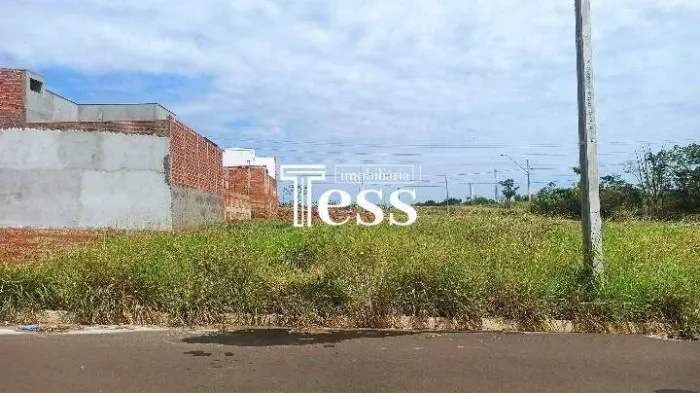 Ótimo Terreno a Venda no Residencial Horizon em Catanduva - 210 m²