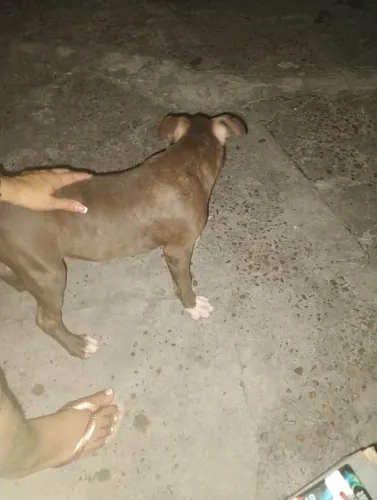 Vendas