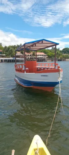 Vendo Barco em perfeito estado 