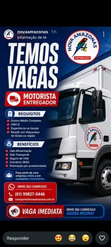 Motorista entregador 