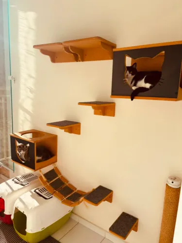Playground para gatos
