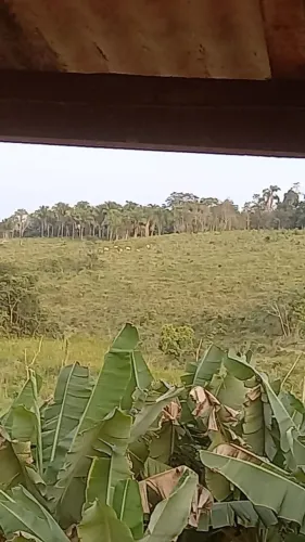 Sítio Jacupiranga/ Eldorado