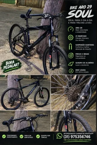 BIKE SOUL ARO 29
