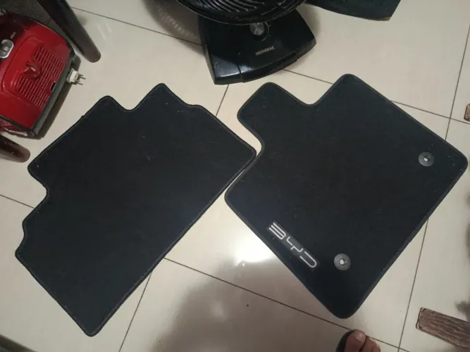 Carpetes BYD 