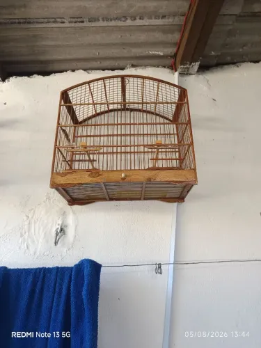 Gaiola estilo bahiana bote preço! Pra nós fechar jogo 