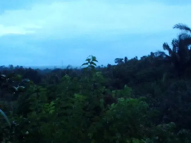 Aluguel de casa na cidade verde