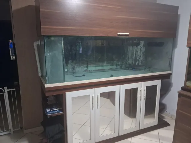 Aquário 700litros 