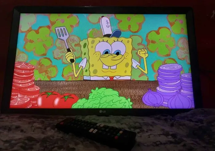 Tv LG 29 porgadas