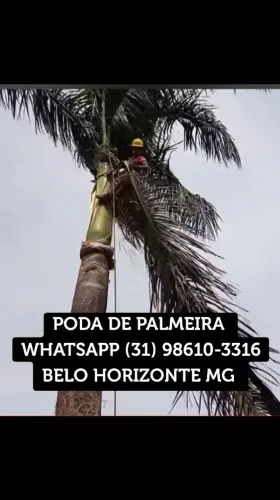 Serviço de jardinagem
