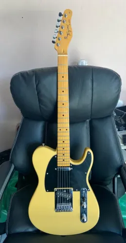 Guitarra Tagima Telecaster TW55 - Troco