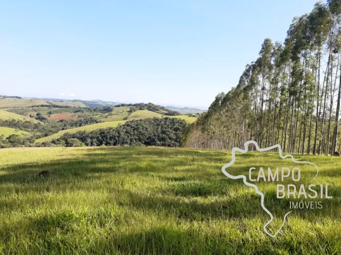 FAZENDA 225 HECTARES NO SUL DE MINAS GERAIS !
