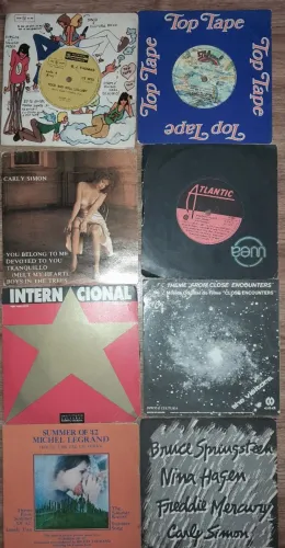 Lote de Discos de Vinil Compactos Variados - Clássicos!